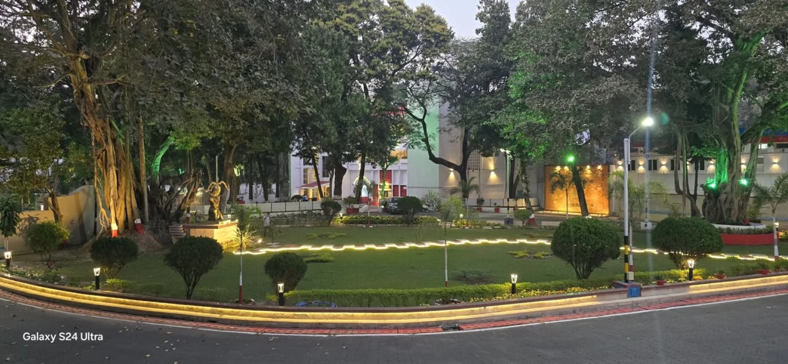 Garden paths and established trees illuminated at dusk