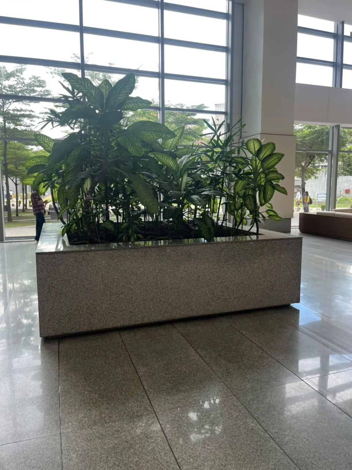 Indoor tropical plants in a long planter