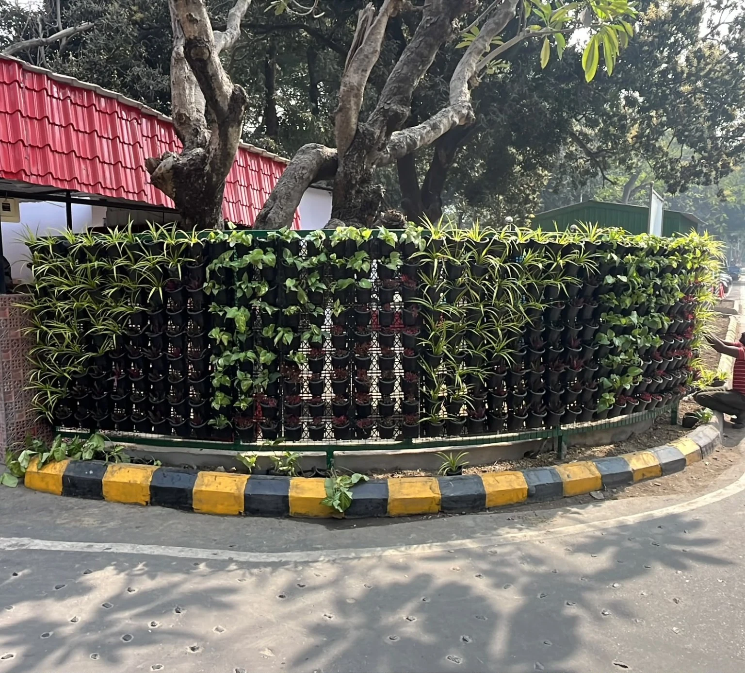 Layered green plants arranged vertically along a curved roadside garden boundary.
